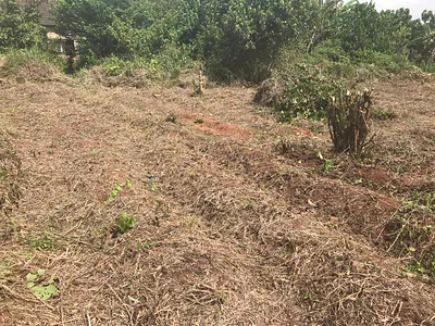 458SQM of Residential Land Plot — Simawa Behind RCCG, Simawa, Ogun
