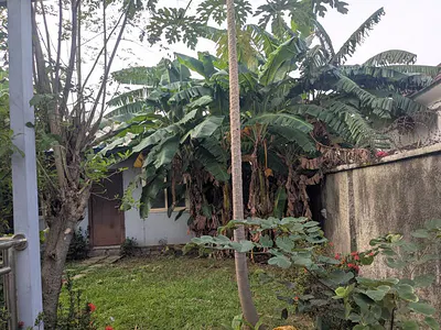 3 Bedroom Detached Bungalow with BQS — Life Camp, Abuja