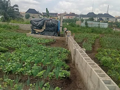 669.516SQM Residential Land — Ikeja, Lagos