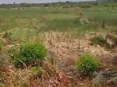 Cornerpiece Residential Land — Admiralty Road, Lekki Phase 1, Lekki, Lagos