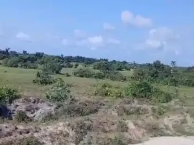 Massive Investment for Estate Development — Close to Pinnock Estate & Arcadia Grove From Jakande, Lekki, Lagos