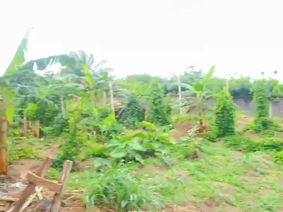 330SQM Dry Plot of Land — Pearl Garden Estate, Sangotedo, Ajah, Lagos