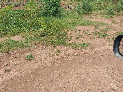 Land — Elite City, Pyakasa, Lugbe District, Abuja