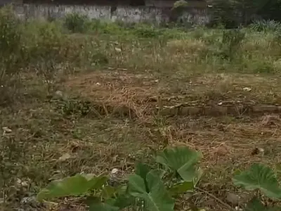 Open Land — Adekunle Fajuyi Way, Ikeja GRA, Ikeja, Lagos