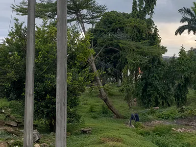 1 Hectare Residential Land — Jabi, Abuja