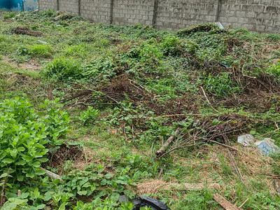 Residential Land — Ikeja, Lagos