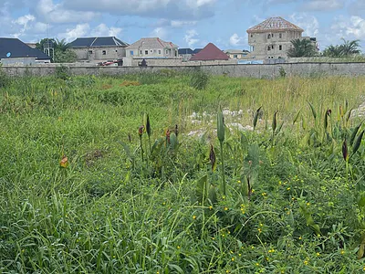 12.5 Acres of Land — Ibeju Lekki, Lagos