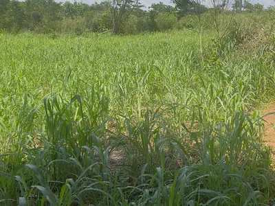 1 Acre Residential Land — 23 Be Happy Station Oru Ijebu Ogun State, Ijebu Ode, Ogun