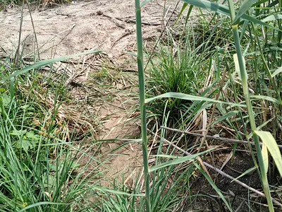 Residential Land with C of O — Seaside Estate, Badore, Ibeju Lekki, Lagos