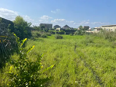 Standard Dry 2 Plots of Land Close to Express — Opposite Abulepan, Ibeju Lekki, Lagos