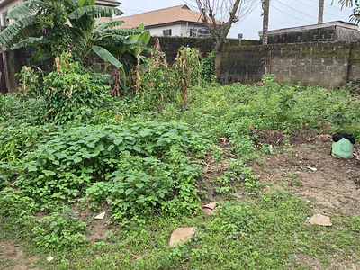 Plot of Land on Yomi Ogunsanya STR, One Fold, Off Ijede Road, Ikorodu — Yomi Ogunsanya Street, Ond Fold Off Gberigbe Road, Igbodu, Ikorodu, Gberigbe, Ikorodu, Lagos