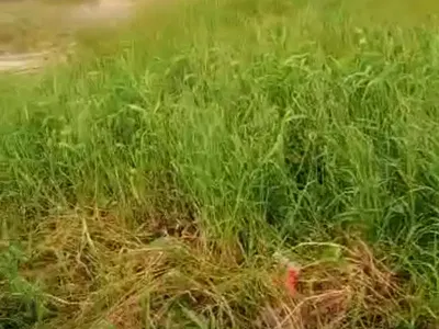 2 Plots of Land Inside an Estate — Lekki, Lagos
