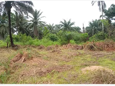 Premium Dry Land — Lekki Ii, Ogombo, Ajah, Lagos