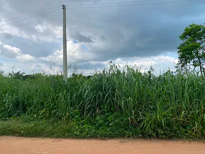 Distress Residential 2 Plot Ayalodi — After KCT Block Industry, Alagbaka Extension, Akure, Ondo
