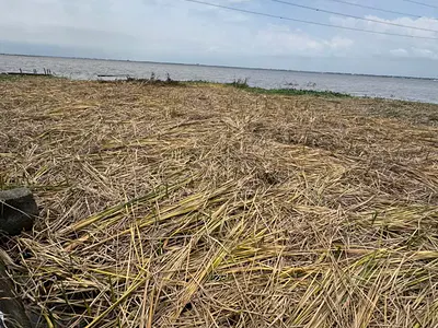 Residential Land Measuring 2,400SQM — Shaheed Hassan Street, Greenville Estate, Badore, Ibeju Lekki, Lagos