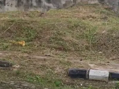 Residential Land with Foundation — Lekki, Lagos