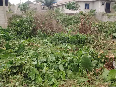 100 Hectares Mixed-Use Land — Lekki, Lagos