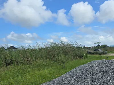 Corner Piece Land Measuring 875SQM — Greenwood Estate, Abijo, Lekki, Lagos