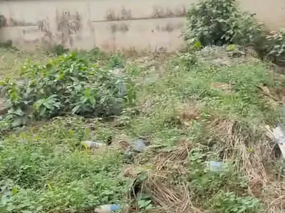 1300SQM Residential Land in a Perfect Location for Investors (Suitable for Build & Sell — Ilasan, Lekki, Lagos