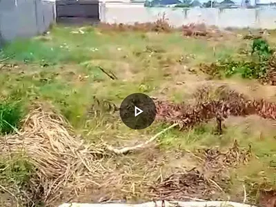 Strategic 1000 SQM Plot — Ikoyi, Lagos