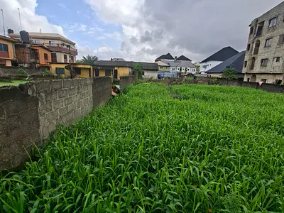 Standard Full Plot of Land — Ago Palace, Isolo, Lagos