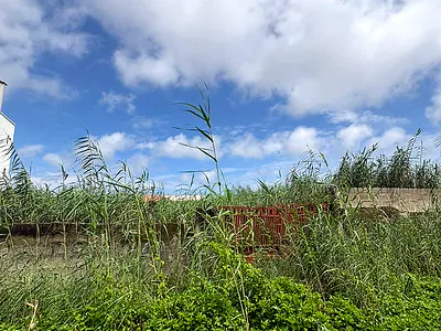 Prime 634SQM Land — Ajah, Lagos