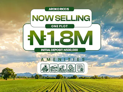 Rice Farm Plots — Aroko Rice Farm Located at Iworo, Badagry–awori, Olorunda, Badagry, Lagos