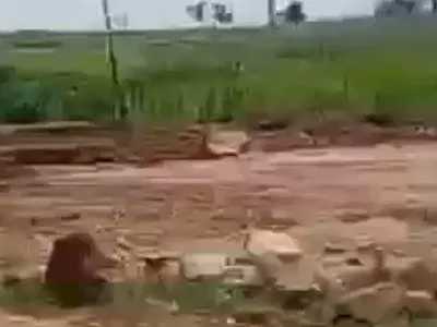 1000 SQM Residential Land — Peace Apartment, Jahi, Abuja