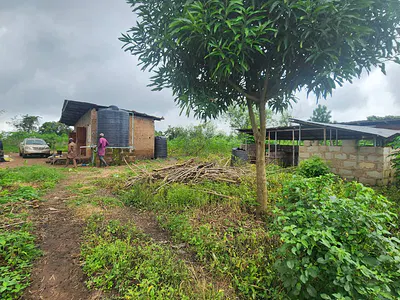 Farm Land with Farmhouse and C of O — Elere Village, Ido, Ido, Oyo