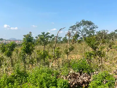 500SQM Estate Land for 4 Bedrooms Fully Detached Penthouse + BQ (C/O) — Boulevard, Guzape Ii, Adjacent Gilmore Yard, Guzape District, Abuja