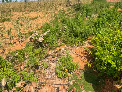 350SQM Estate Land for 4 Bedroom Semi-Detached Penthouse+bq (C of O) — Boulevard, Guzape Ii, Guzape District, Abuja