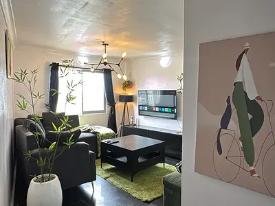 Beautifully Furnished Mini Flat — Victoria Island (VI), Lagos