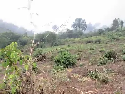 2200SQM of Land (5 Plots) — Iyede/Olomoro Express Road, Before Otor-Iyede Junction, Isoko North, Delta