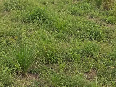 Residential Land — Suin-Owode Road, Abeokuta South, Ogun