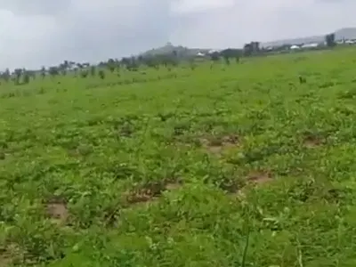 10 Hectares Land in a Good Location — Kuchiyako Extension, Kuje, Abuja