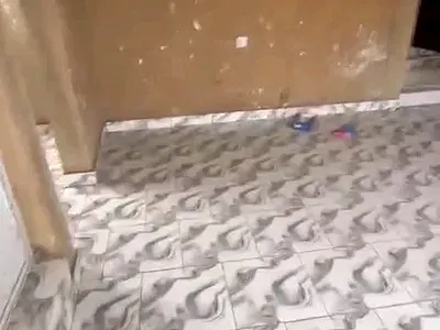 Executive Mini Flat — Off Market Street, Shomolu, Lagos