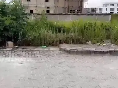 1,000 SQM Land Available. Video Available — Lekki, Lagos
