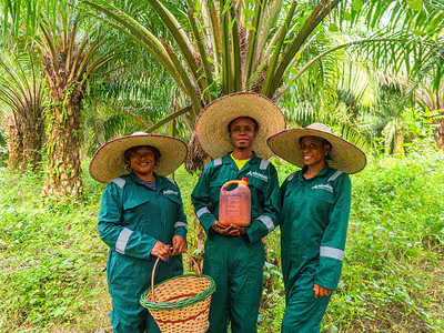 Farm Land - Oil Palm Investment — Odeda Local Government, Abeokuta,, Abeokuta North, Ogun