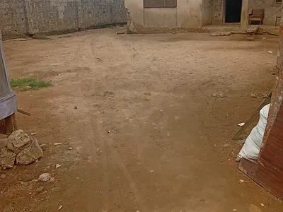 2 Plots with Demolishable Structure Measuring 1094.244 SQM — Asumbe Street Off Tejumola Estate, Egbeda, Alimosho, Lagos