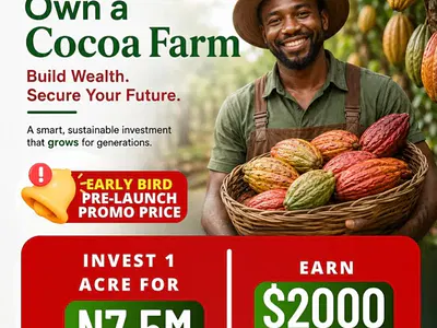 Farm Land Suitable for Cocoa Plantation — Add Farm City, Along Oou Road, Ago-Iwoye, Ogun State, KM 46, Ogun