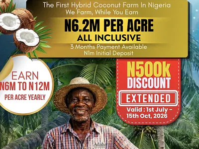 Developed and Verified Farm Land — Adaba Farm, Obafemi Owode, Ogun