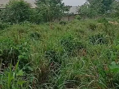 Land — Along Ogunmwenyin Road, Off Ugbor Central GRA, Benin, Oredo, Edo