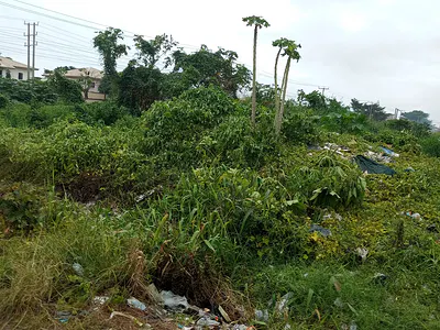Well Situated Land — Banana Island Ikoyi, Ikoyi, Lagos