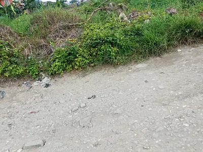 Well Situated Land — Facing Foreshore Estate Lekki Phase 1, Lekki Phase 1, Lekki, Lagos