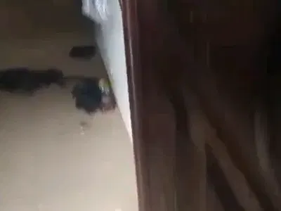 2 Bedroom Flat at Ebute Metta/Adekunle Yaba — Ebute Metta West, Yaba, Lagos