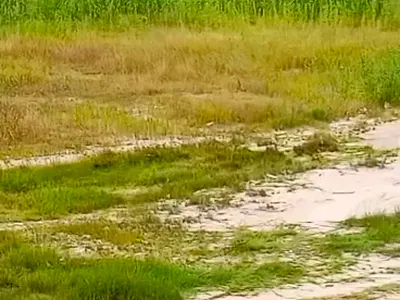 1,010 SQM Residential Land at Lekki Foreshore Scheme 1 — Lekki, Lagos