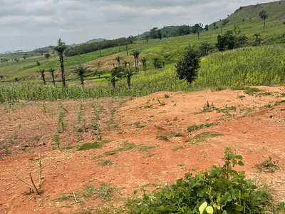 170SQM Estate Land for 3 Bedroom Terrace Duplex with Cofo — The Gateway Estate by Trinity School and Mshel Estate, Wasa, Apo, Abuja