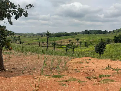 500SQM Estate Land for 5 Bedroom Fully Detached Duplex with BQ Cofo — The Gateway Estate by Trinity School and Mshel Estate, Wasa, Apo, Abuja