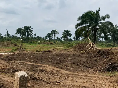 4 Plots of Land — Back of Ust Faculty of Agriculture, Etche, Rivers