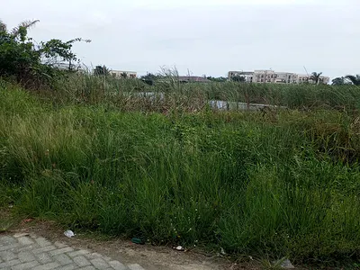 Well Situated Land — Ikoyi, Lagos